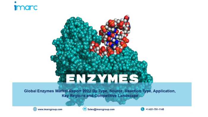 enzymes market