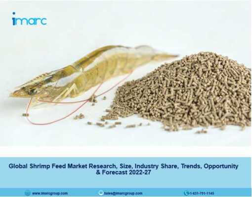Global Shrimp Feed Market Research, Size, Industry Share, Trends, Opportunity & Forecast 2022-27